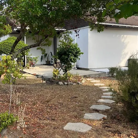 Maison Contemporaine Entre Bordeaux Et Le Cap Ferret Villa